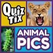 ”QuizTix: Animal Pics Trivia - Nature Image Library