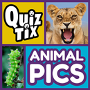 QuizTix: Animal Pics Trivia - Nature Image Library APK