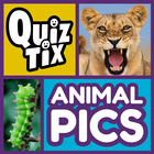 QuizTix: Animal Pics Trivia - Nature Image Library আইকন