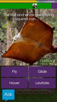 QuizTix: Animal Pics Trivia - Nature Image Library poster