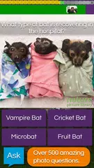 QuizTix: Animal Pics Trivia - Nature Image Library APK download