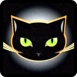 Угадай породу кошки