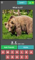 Animal Quiz - Quess The Animal 스크린샷 1