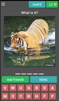 Animal Quiz - Quess The Animal تصوير الشاشة 3