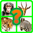 Animals2 quiz APK