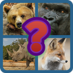 ”Animals Quiz