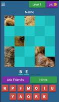 Animals Quiz poster