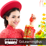 Learn Vietnamese via Videos ícone