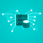 Management Information System icon