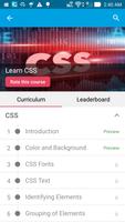 برنامه‌نما Learn CSS عکس از صفحه