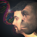 Learn Evolution