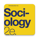 Introduction to Sociology 圖標