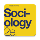 Introduction to Sociology icono