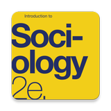 Introduction to Sociology ícone