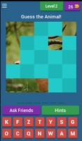 Guess the Animal! screenshot 2