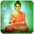 Gautam Budhha Quotes আইকন