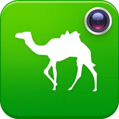 Скачать 去哪儿旅图-旅行必备 APK