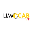 Limocab for passenger APK
