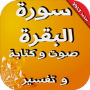 سورة البقرة mp3 مكتوبة و تفسير APK