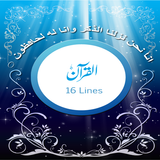 ikon 16 Lines Quran