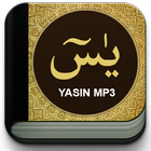 Yasin MP3 130 Qari-icoon