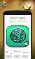 Holy Quran mp3 audio offline скриншот 2