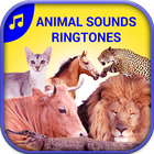 Best Animal Sounds Ringtones simgesi