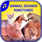 ikon Best Animal Sounds Ringtones