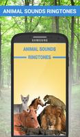 Best Animal Sounds Ringtones imagem de tela 1