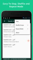 Surah Al Jinn MP3  Full स्क्रीनशॉट 2