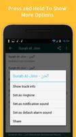 Surah Al Jinn MP3  Full screenshot 3