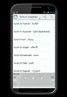 Muhammad Thaha Al Junayd screenshot 1