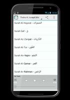 Muhammad Thaha Al Junayd screenshot 3