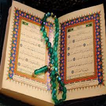 Holy Quran Malayalam Audio