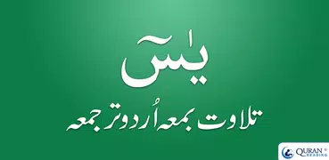 Surah Yasin Urdu Translation