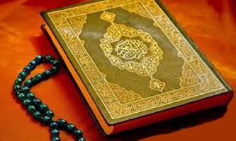 Quran Tamil Translation Audio скриншот 3