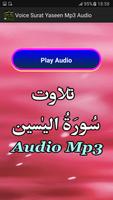 Voice Surat Yaseen Mp3 Audio imagem de tela 1