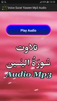 Voice Surat Yaseen Mp3 Audio capture d'écran 1