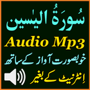 Voice Surah Yaseen Mp3 Audio APK