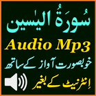 Voice Surah Yaseen Mp3 Audio icône