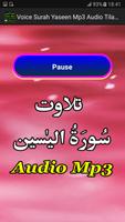 Voice Surah Yaseen Mp3 Audio capture d'écran 2