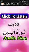 Lovely Surah Yaseen Mp3 Audio скриншот 3