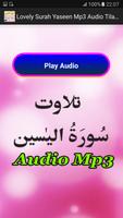 Lovely Surah Yaseen Mp3 Audio capture d'écran 1