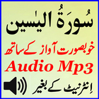 Lovely Sura Yaseen Mp3 Audio biểu tượng