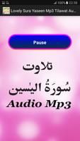 Lovely Sura Yaseen Mp3 Audio captura de pantalla 2