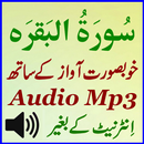 Offline Surah Baqarah Audio APK