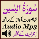 Surah Yaseen Lovely Audio Mp3 APK