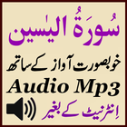Surah Yaseen Lovely Audio Mp3 icône