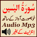 Surat Yaseen Lovely Audio Mp3 APK