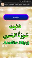 Surat Yaseen Lovely Audio Mp3 capture d'écran 2